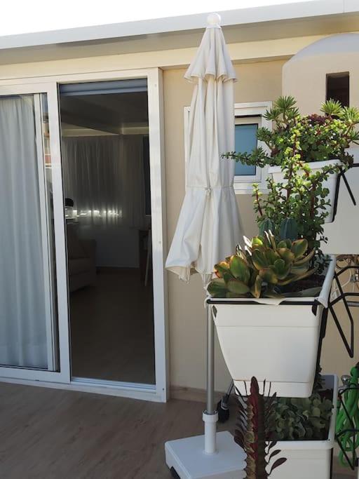 Vacanze Da Sogno Apartment